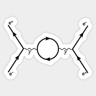 Second Order Feynman Diagram - Particle Physics Sticker